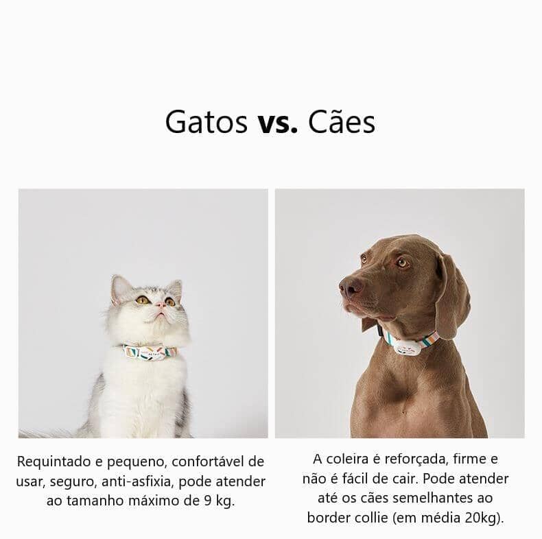 Coleira com GPS para Gatos – Localização em Tempo Real